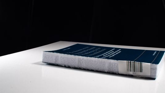 Mitbestimmte versus managementbestimmte Globalisierung in der Automobilindustrie