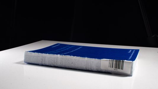 Potentiale und Blockaden der kommunalen Leistungserstellung - Ulrike Brecht
