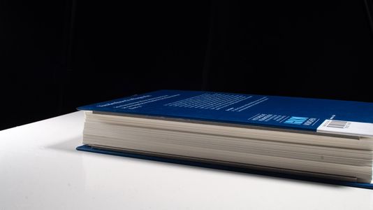 Kaiserliche Gerichtsbarkeit und Konfessionskonflikt - Stefan Ehrenpreis