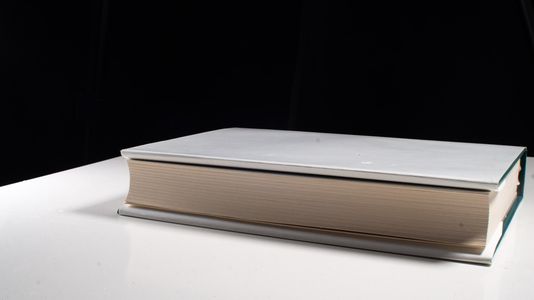 Steuerberater-Jahrbuch