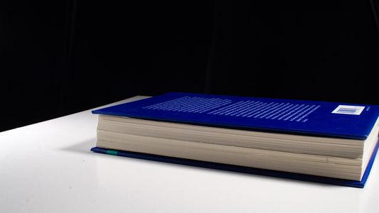 Gebr. - Die gemeinsame, aber unterschiedliche Verantwortlichkeit als Bestandteil eines umweltvölkerrechtlichen Prinzipiengefüges: Konkretisierungsvors
