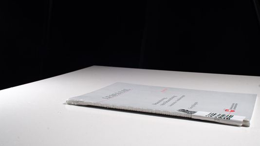 Braunschweig, mein Braunschweig: Literarische Annäherungen