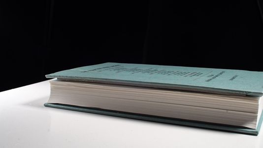International Reporting 1928-1985 - Erika J. Fischer