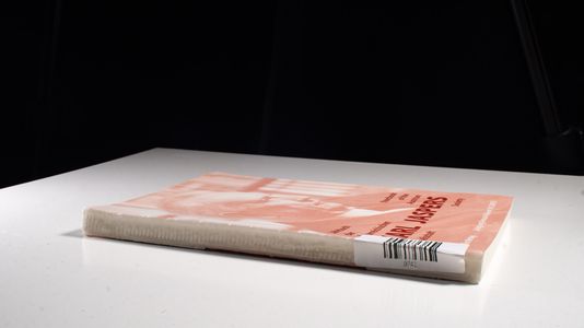 Jahrbuch der Österreichischen Karl-Jaspers-Gesellschaft 18/2005 - Karl-Jaspers-Gesellschaft