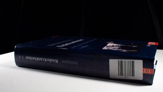 Rinderkrankheiten: Innere und chirurgische Erkrankungen des Rindes