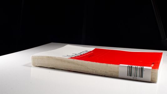 Moderne. Kulturwissenschaftliches Jahrbuch, Jg.2006/2 : Iconic Turn?