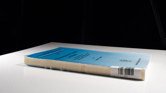 Ökonomische Theorie im Recht.: Anwendbarkeit und Erkenntniswert im allgemeinen und am Beispiel des Arbeitsrechts. (Schriftenreihe zur Rechtssoziologie und Rechtstatsachenforschung) - Janson, Gunnar