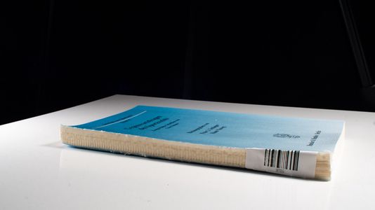 Gegenwartsfragen des Sportrechts. - Udo Steiner