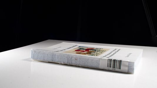 Sport im 20. Jahrhundert. Werden, Wirklichkeit, Würdigung eines soziokulturellen Phänomens - Stefan Jacob