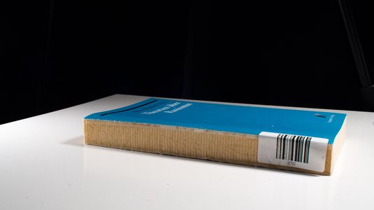 Theorien über Rassismus - BA 4112 - 314g - Räthzel, Nora, Ursula Apitzsch Georg Auernheimer u. a.