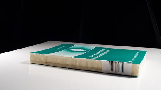 Der Grundwert des spanischen Subjunktivs (Tübinger Beiträge zur Linguistik) - Hummel, Martin