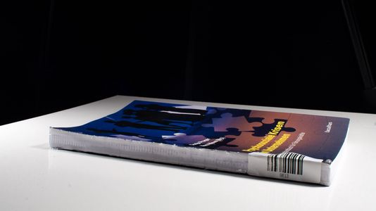 Psychosoziale Krisen in Unternehmen - Sonja Prager,Nora Hlous