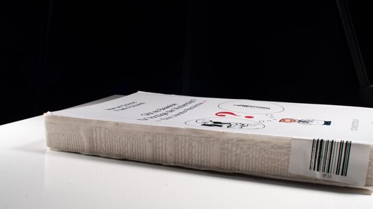 Gibt es Beweise für Vorzüge der Muttermilch?: Eine Literatur-Recherche