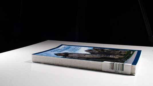 Osning - Die Externsteine: Das verschwiegene Heiligtum Deutschlands und die verlorenen Wurzeln europäischer Kultur - Henze, Usch
