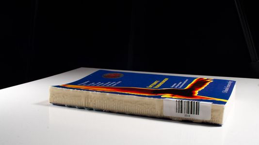 Entfernte Verbindungen: Rassismus, Antisemitismus, Klassenunterdrückung - BB 1996 - 330g - Hügel, Ika, Chris Lange May Ayim u. a.