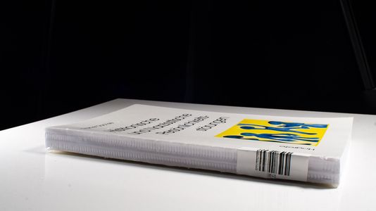 Histrionische und Narzisstische Persönlichkeitsstörungen - Rainer Sachse