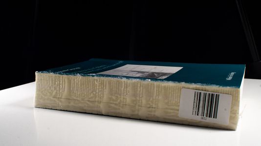 Annette Graczyk / Das literarische Tableau zwischen Kunst und Wissenschaft - Annette Graczyk