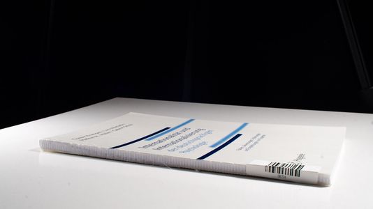 Internationalität und Internationalisierung der deutschsprachigen Psychologie.