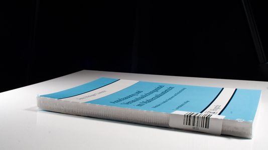 Anschauung und Veranschaulichungsmittel im Mathematikunterricht: Mentales visuelles Operieren und Rechenleistung
