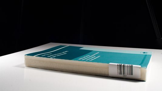 Rechtsreformen entlang der Seidenstraße: Aufsätze und Vorträge während der beobachtenden Teilnahme an einem gewaltigen Transformationsprozess - Knieper, Rolf