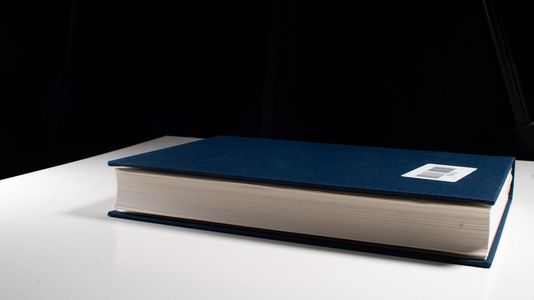 Disponibilität des Rechtsscheins. Struktur und Wirkungen des Redlichkeitsschutzes im Privatrecht. - Altmeppen, Holger