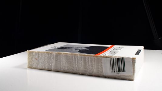 DOSSIER 9, Gerhard Roth - Baltl, Marianne und Christian Ehetreiber