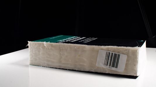 Arbeitsteilung und Geschlechterkonstruktion: Gender at Work in theoretischer und historischer Perspektive (Theorie und Methode) - Wetterer, Angelika
