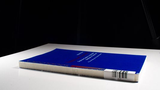 Nation und Toleranz?: Empirische Studien zu nationalen Identitäten in Österreich (Sociologica) - Weiss, Hilde