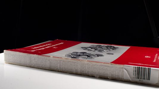 Jahresberichte aus Augst und Kaiseraugst 17 - R Furger, Alex, Hans Sütterlin Markus Schaub u. a.