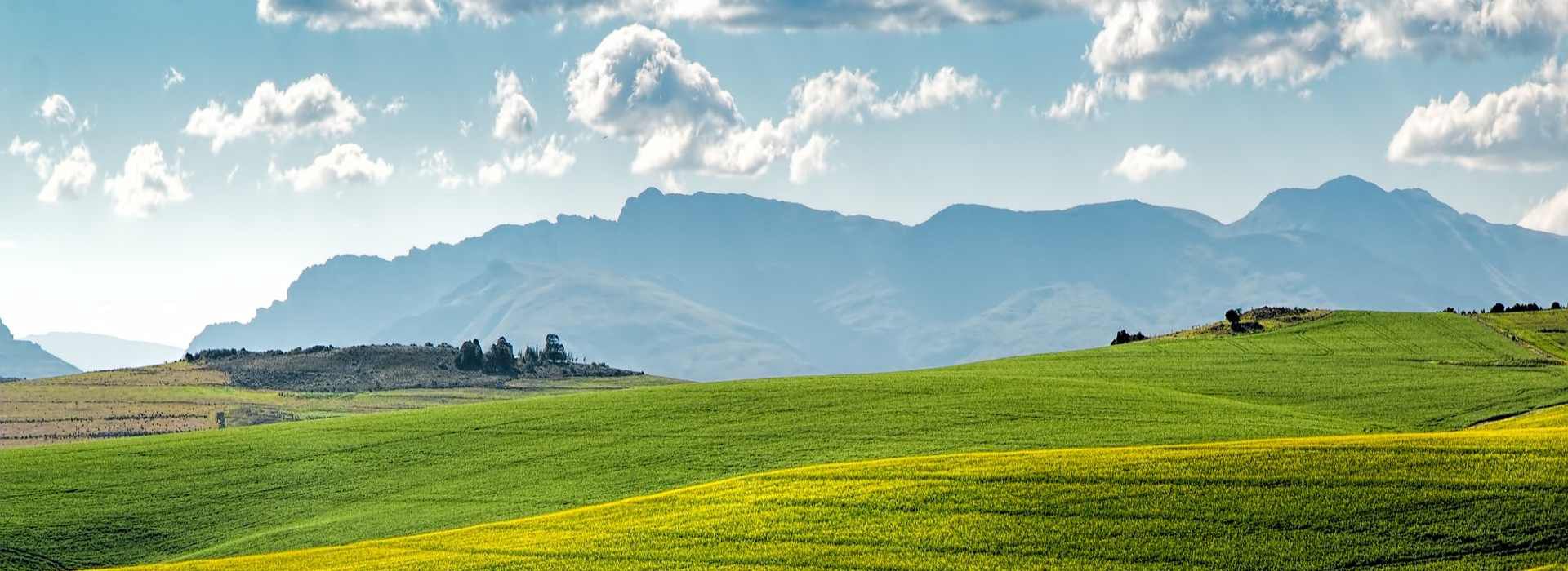 Günstige Landwirtschaft Bücher